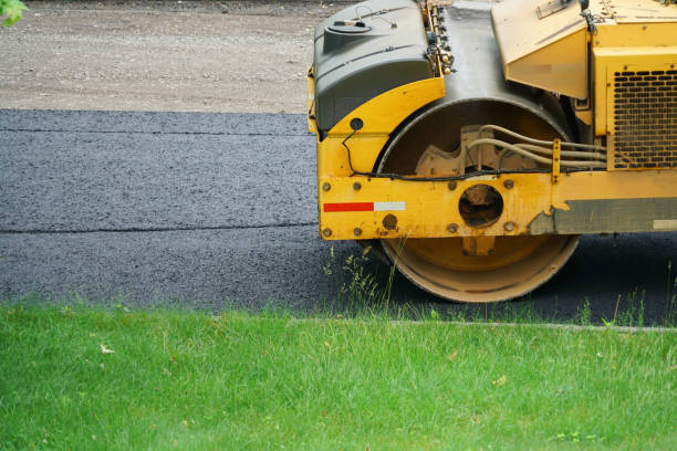 Best Driveway Paving Contractor  in Lugoff, SC