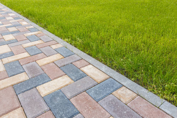 Best Best Driveway Pavers  in Lugoff, SC