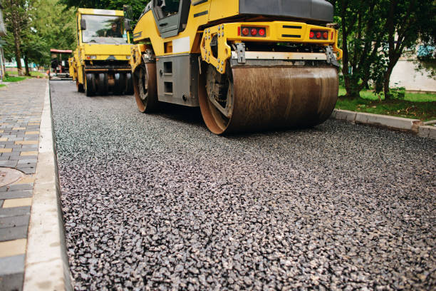 Best Local Driveway Pavers  in Lugoff, SC